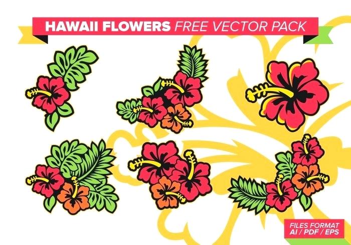 700x490 Hawaiian Flowers Vector