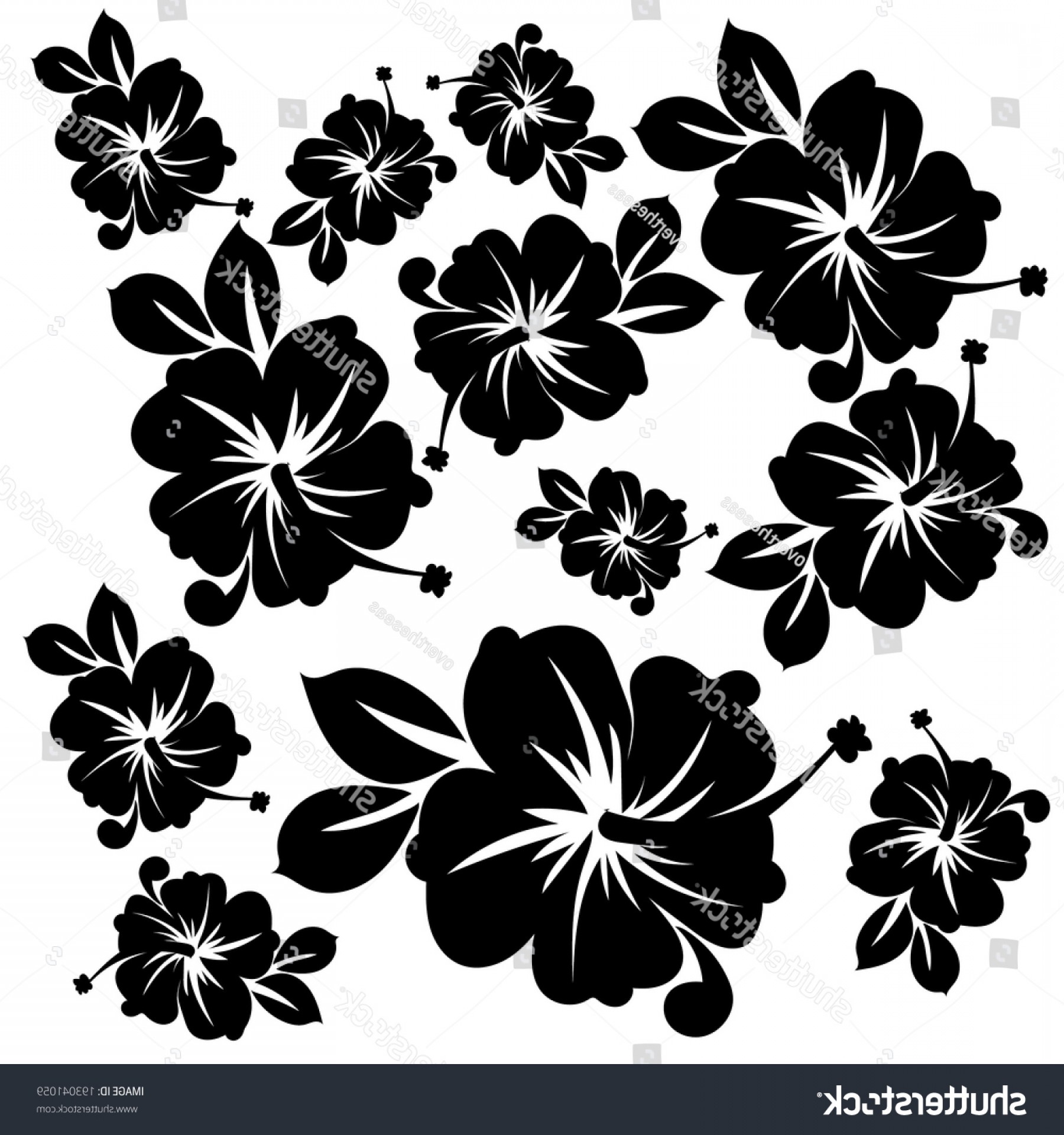 1800x1920 Hawaii Flowers Black White Pattern Soidergi
