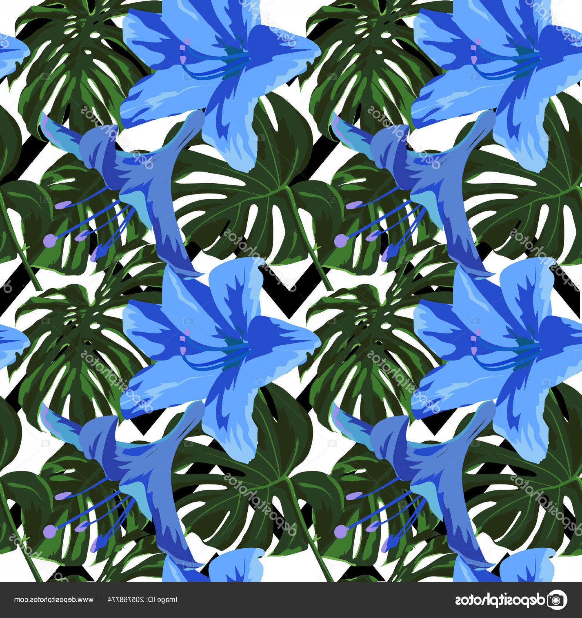 1920x2040 Hawaiian Flower Vector Soidergi