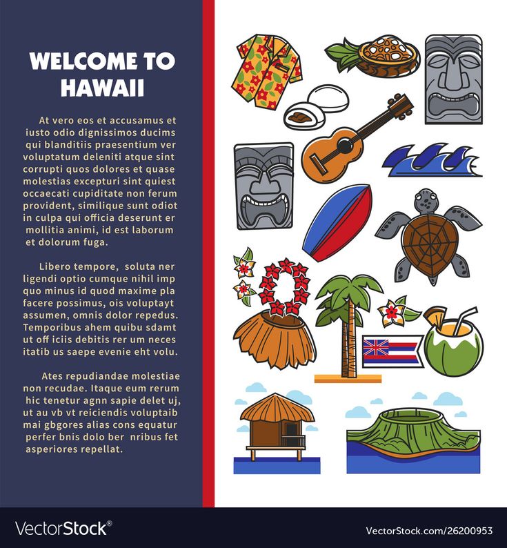 735x794 Vector Flower Beach Resort Hawaii Symbols Hawaiian Culture Tourism