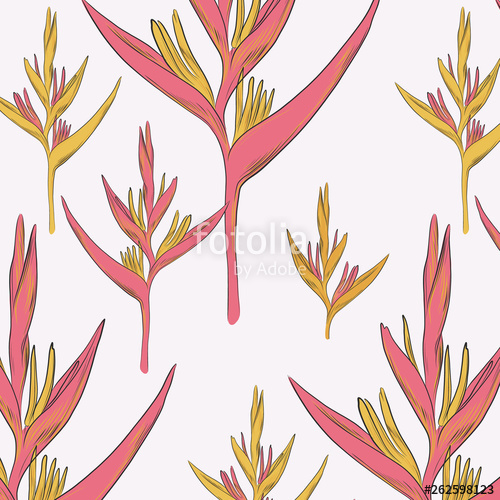 500x500 Flowers Vector Yellow Pink Tender Paradise Summer Illustration