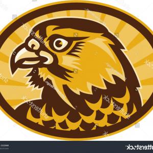 300x300 Falcon Or Hawk Head Sport Logo Mascot Design Set Vector Sarahgardan