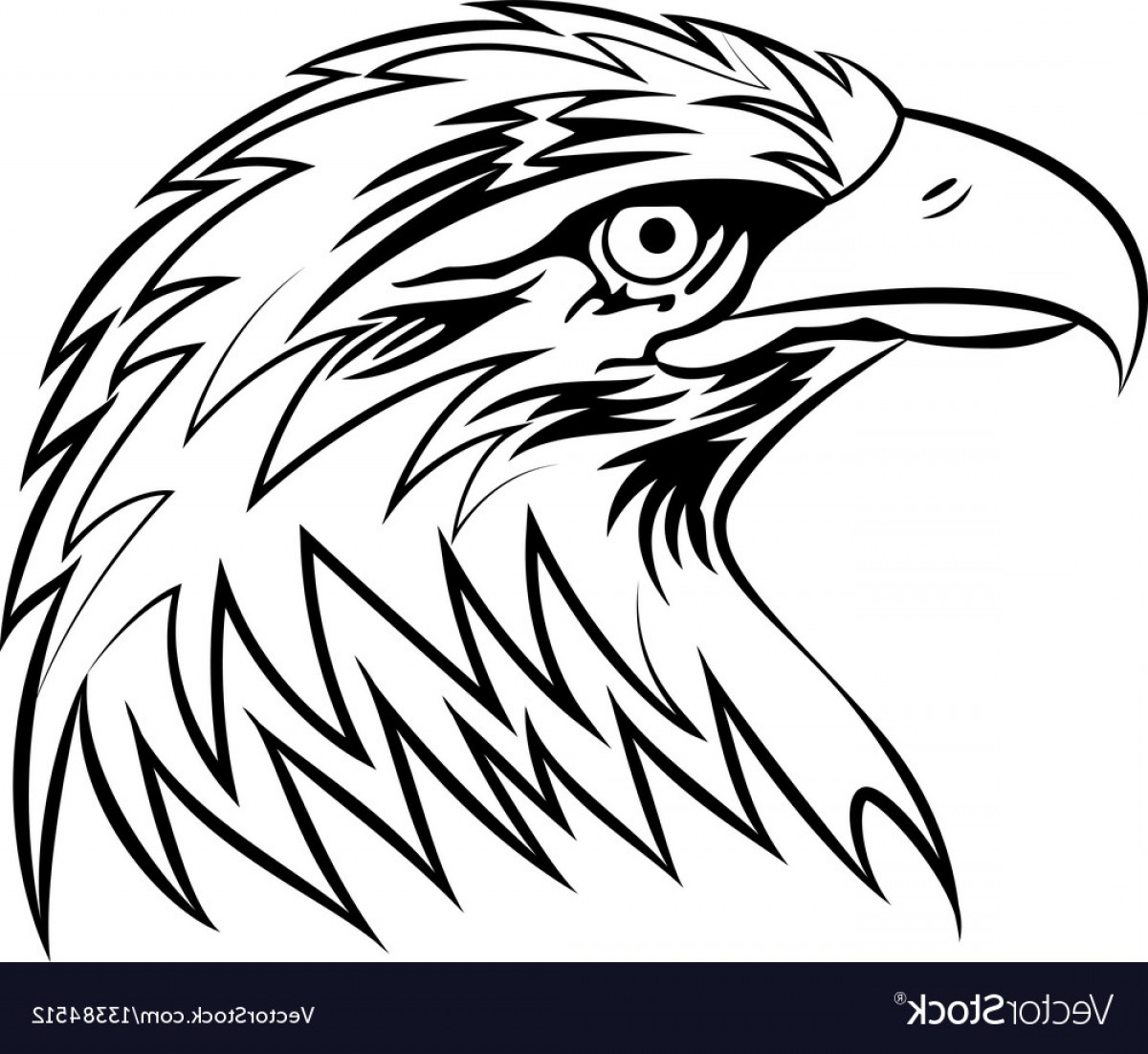 1200x1101 Bald Eagle Or Hawk Head Mascot Graphic Vector Soidergi