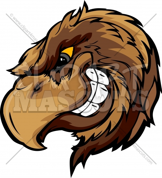 537x590 Hawk Mascot Cartoon Graphic Vector Cartoon