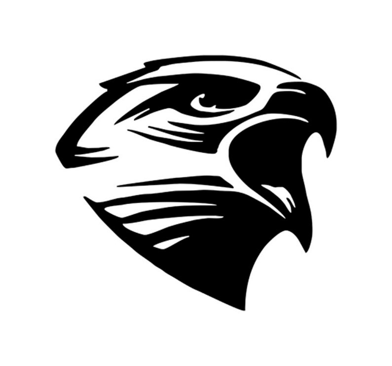 794x742 Hawk Hawk Head Hawk Clipart Hawk Head Etsy