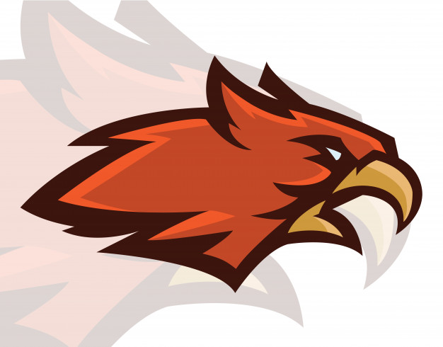 626x490 Hawk Head Mascot Vector Premium Download