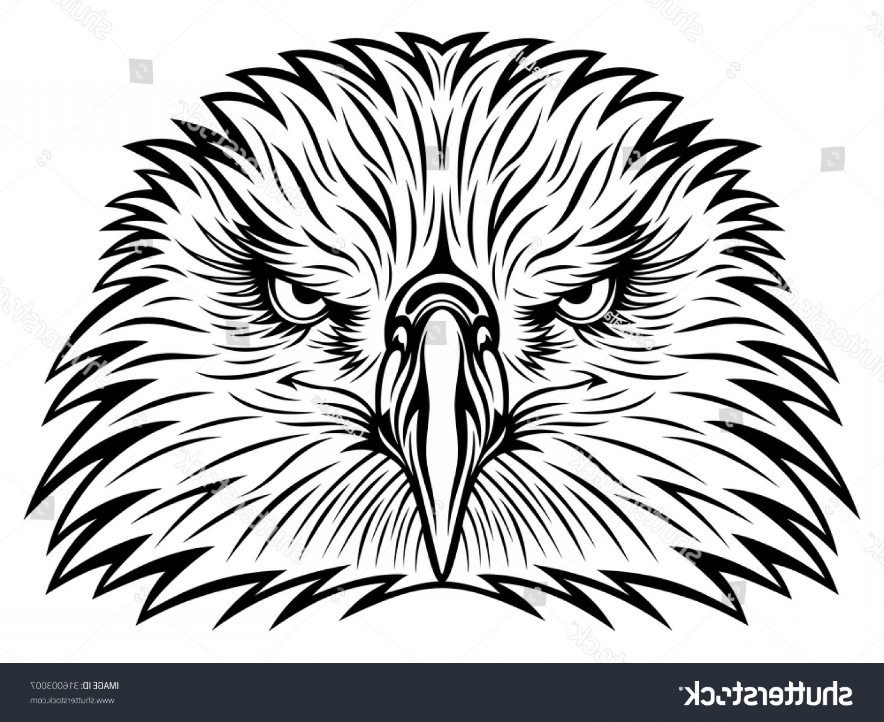 1800x1470 Line Art Eagle Hawk Head Soidergi