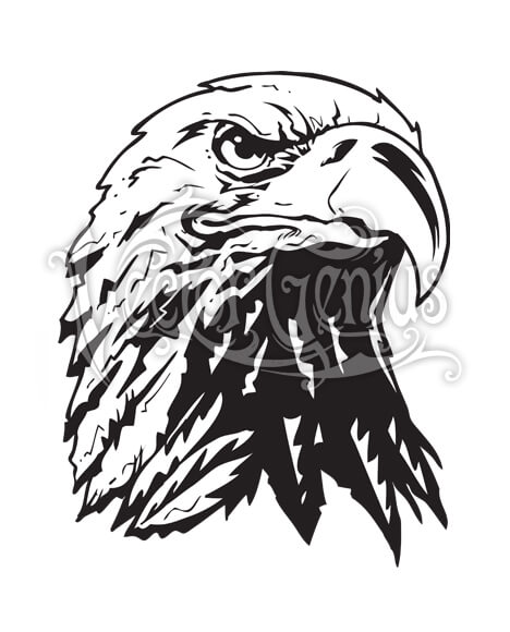 468x580 Noble Hand Drawn Bald Eagle Head