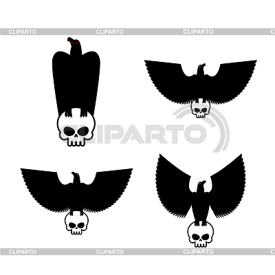 400x400 Hawk Stock Photos And Vektor Clipart Cliparto