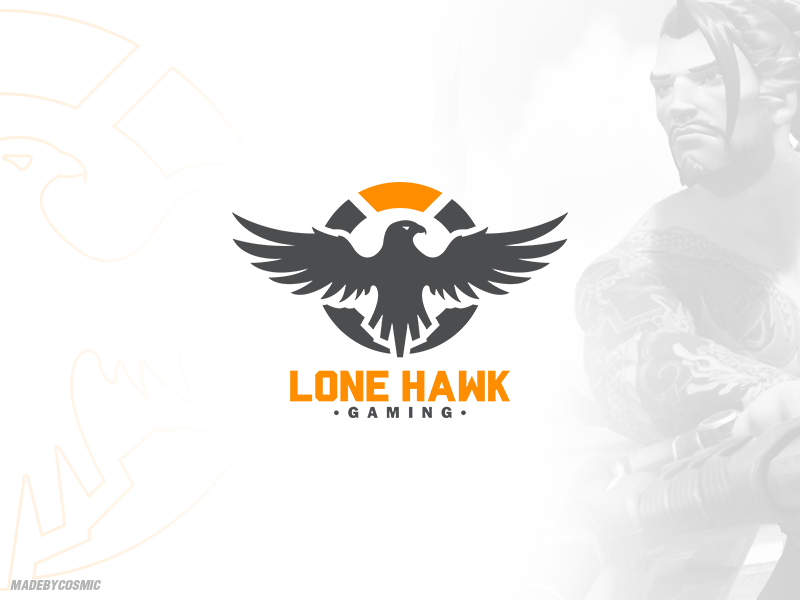 800x600 Lone Hawk Logo