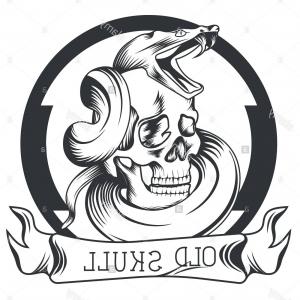 300x300 Stock Image Eagle And Skull Template For Emblem Hawk Logo Vector