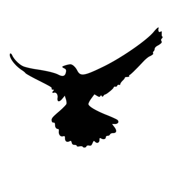 Hawk Silhouette 660x660 Hawk Silhouette