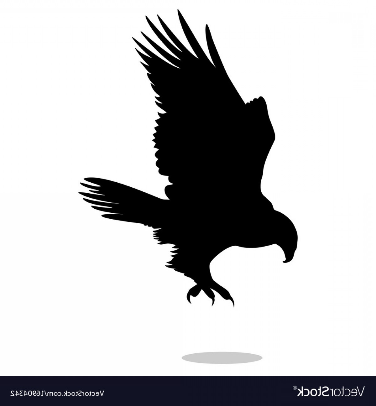 Hawk Eagle Falcon Bird Black Silhouette Animal Vector Createmepink 1200x1296 Hawk Eagle Falcon Bird Black Silhouette Animal Vector Createmepink
