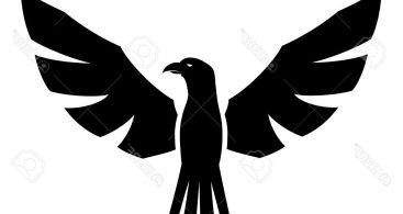 Hawk Silhouette Archives 367x195 Hawk Silhouette Archives
