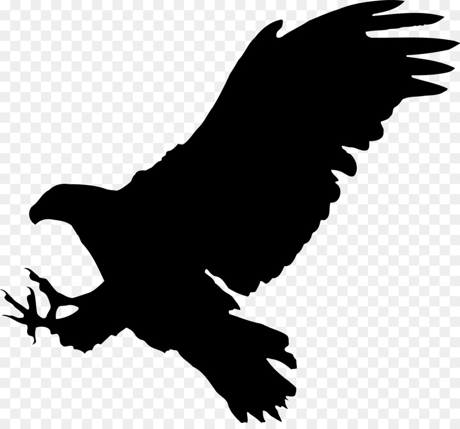 Hawk Silhouette 900x840 Hawk Silhouette