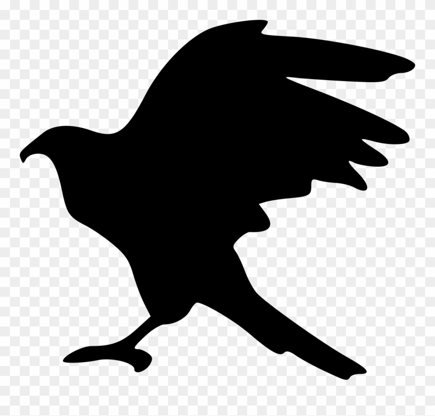 Hawk Silhouette Png Clipart Pinclipart 880x841 Hawk Silhouette Png Clipart Pinclipart