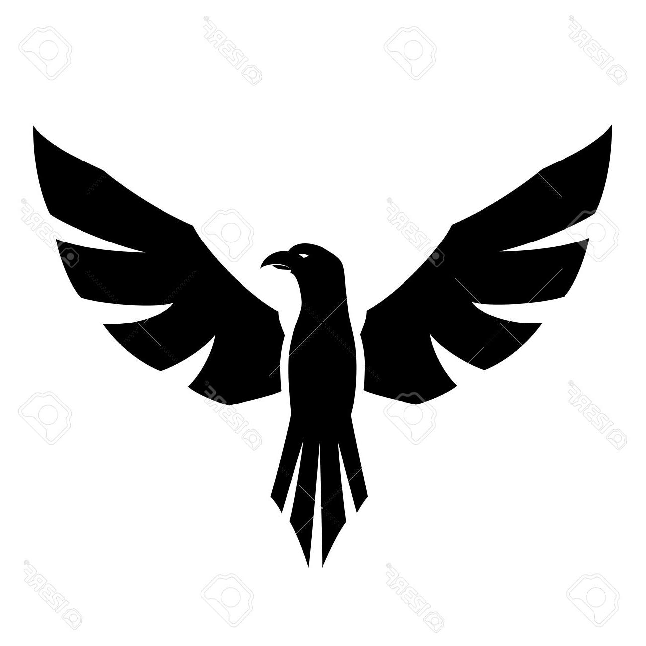 Best Hd Hawk Silhouette Cdr Free Vector Art, Images, Graphics 1300x1300 Best Hd Hawk Silhouette Cdr Free Vector Art, Images, Graphics
