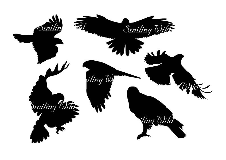 Hawk Silhouette Clipart American Hawk Cutout Printable Etsy 794x562 Hawk Silhouette Clipart American Hawk Cutout Printable Etsy
