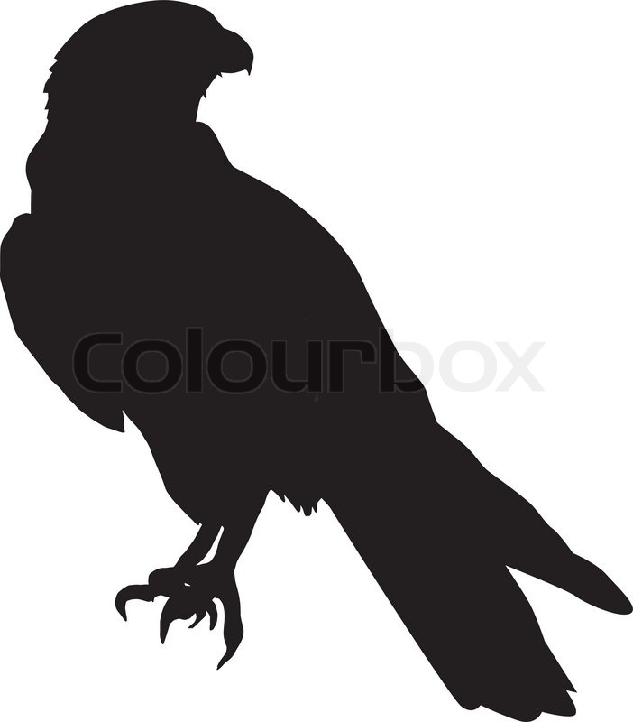 Silhouette Of Falcon Stock Vector Colourbox 702x800 Silhouette Of Falcon Stock Vector Colourbox