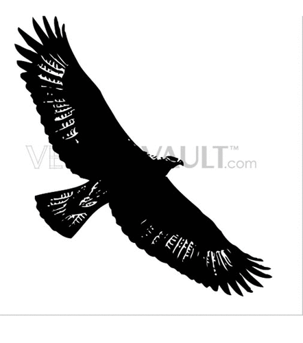 Buy Vector Eagle Hawk Flying Royalty Free Illustration 442x500 Buy Vector Eagle Hawk Flying Royalty Free Illustration