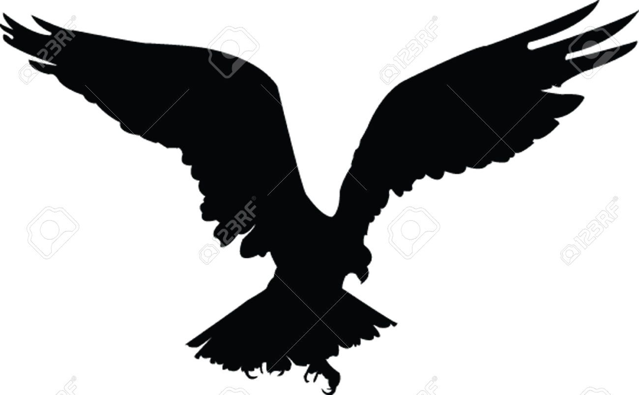 Hawk Silhouette 1300x804 Hawk Silhouette
