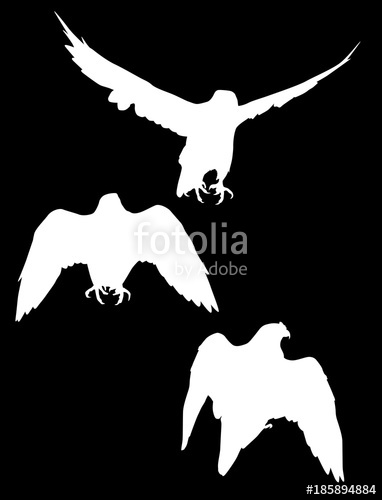 Three Hawk Silhouettes On Black Stock Image And Royalty Free 382x500 Three Hawk Silhouettes On Black Stock Image And Royalty Free