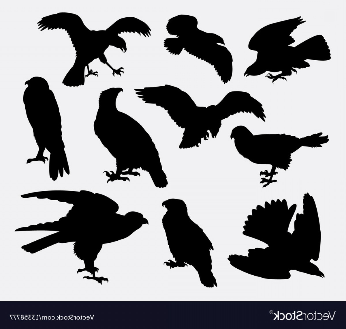 Falcon Eagle And Hawk Bird Silhouette Vector Createmepink 1200x1140 Falcon Eagle And Hawk Bird Silhouette Vector Createmepink