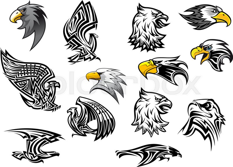800x573 Eagle Or Hawk Vector Icons For Mascot Stock Vector Colourbox