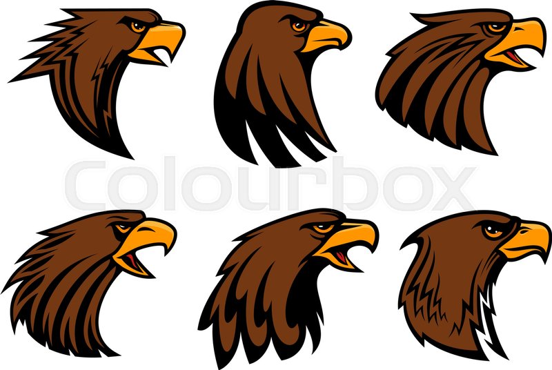 800x536 Eagle Or Hawk Vector Mascot For Sport Stock Vector Colourbox