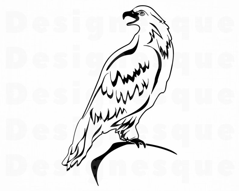 794x635 Hawk Outline Hawk Hawk Clipart Hawk For Etsy