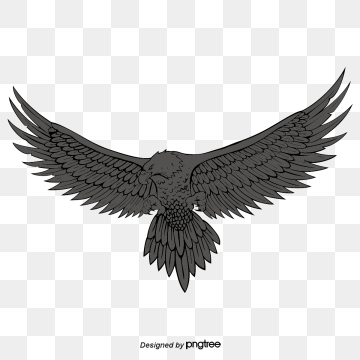 360x360 Hawk Png, Vector, And Clipart With Transparent Background