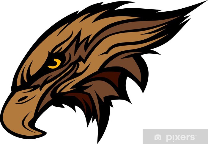 700x483 Mascot Head Of An Falcon Or Hawk Vector Illustration Wall Mural