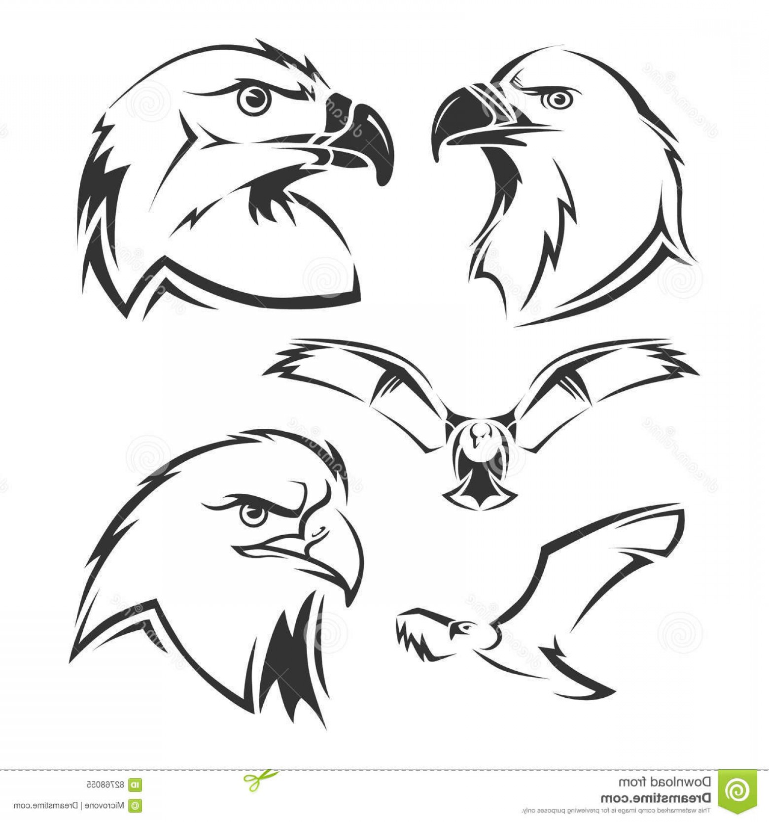 1560x1668 Stock Illustration Eagle Hawk Vector Mascots Set Tattoo Head
