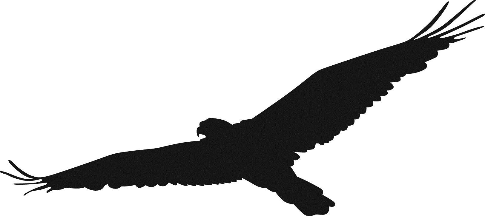 1624x724 Top Hawk Clip Art