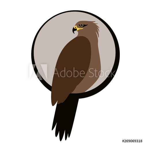500x500 Eagle Hawk Vector Illustration,  Flat Styleprofile