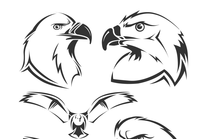 800x533 Eagle, Hawk Vector Mascots Set