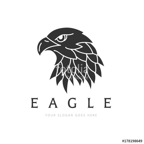500x500 Eagle Logo, Bird Logo Set, Falcon Logo, Hawk Logo, Vector Logo