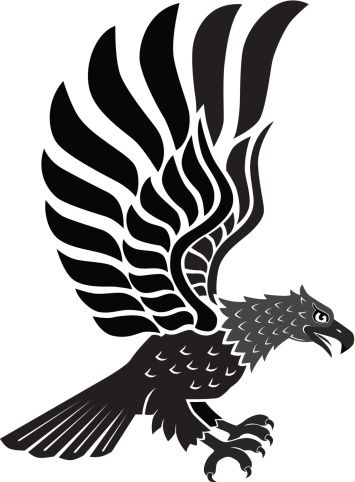 355x482 Grey Hawk Clip Art, Vector Images Illustrations