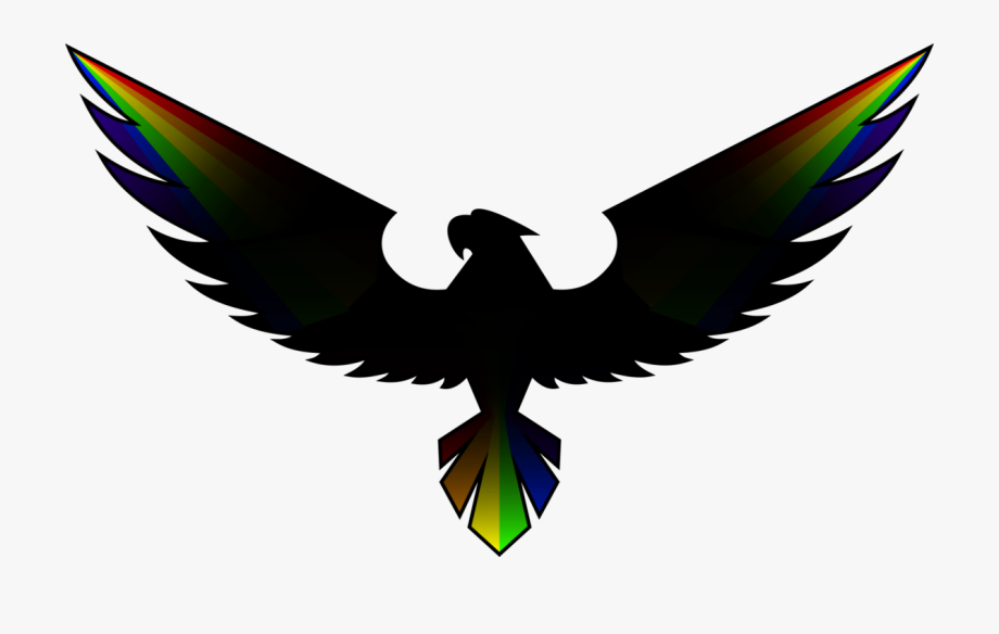 920x584 Hawk Vector