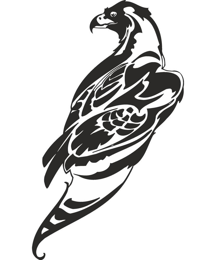 830x1000 Hawk Vector Art Free Vector Cdr Download