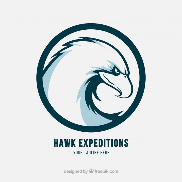 626x626 Hawk Vectors, Photos And Free Download