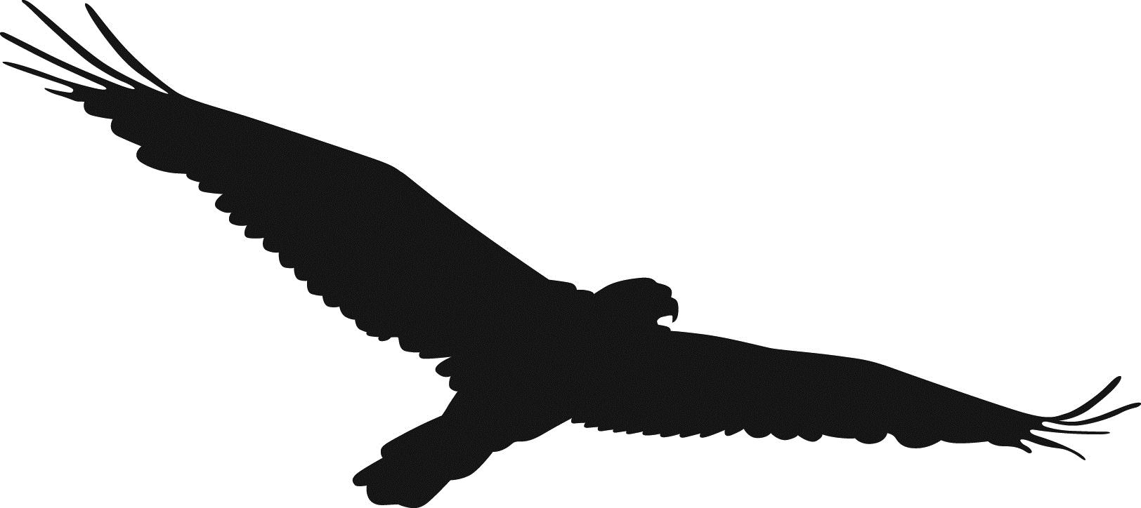 1624x724 Hawk Clip Art