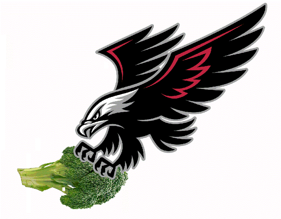 987x768 Marked Hawk Clip Art Vector Free Image