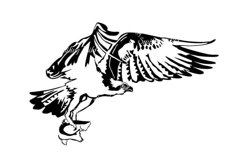 794x561 Osprey Sea Hawk Clipart Art Bird Of Prey Vector Graphic Etsy