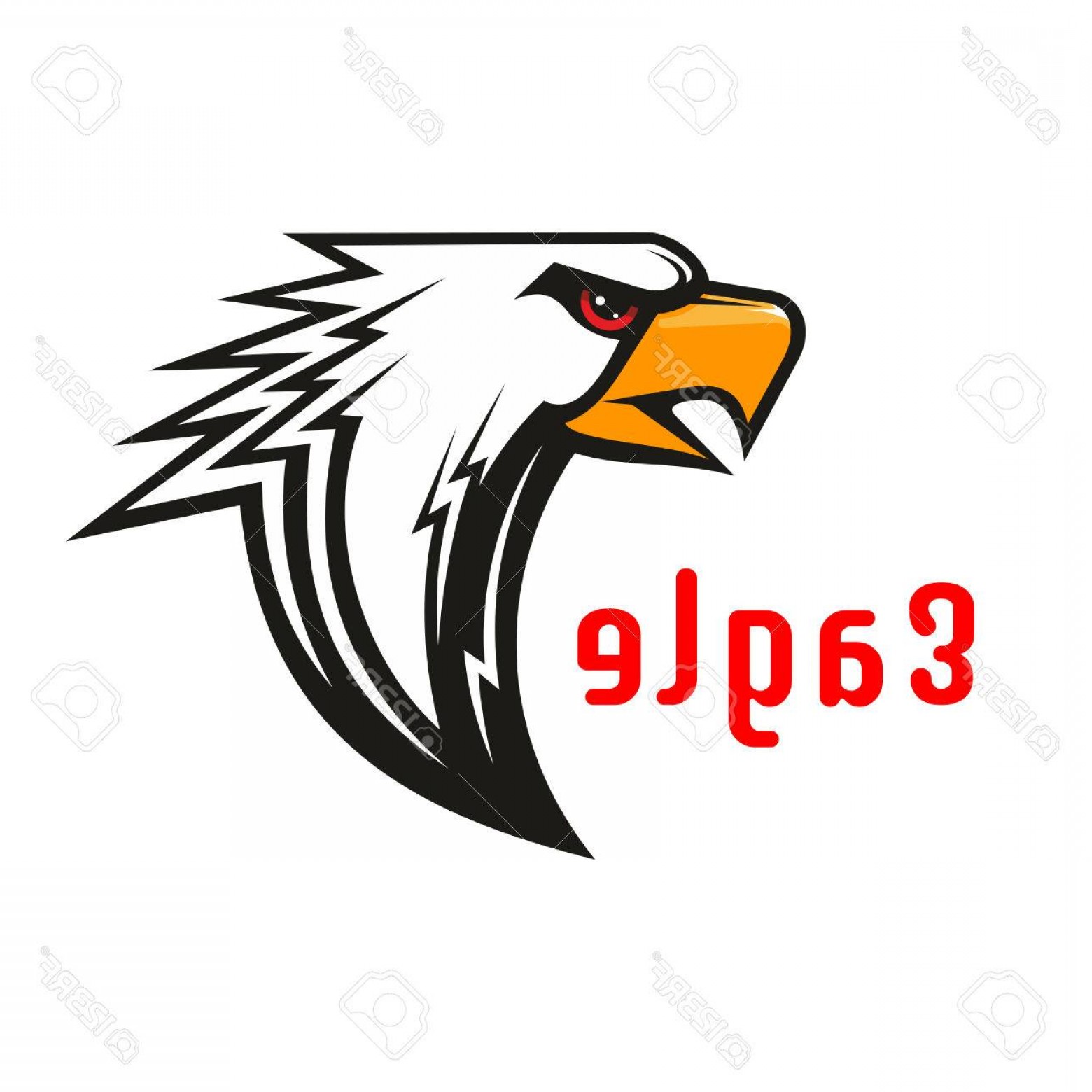 1560x1560 Photostock Vector American Eagle Vector Emblem Hawk Graphic Label