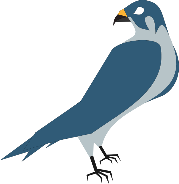 582x598 Best Hawk Clipart