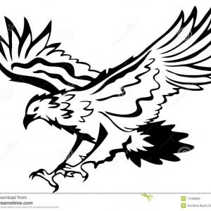 300x300 Best Hd Hawk Vector Clip Art Drawing Newwaysys