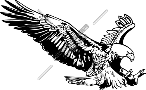 500x308 Eagle Clipart And Vectorart Animals