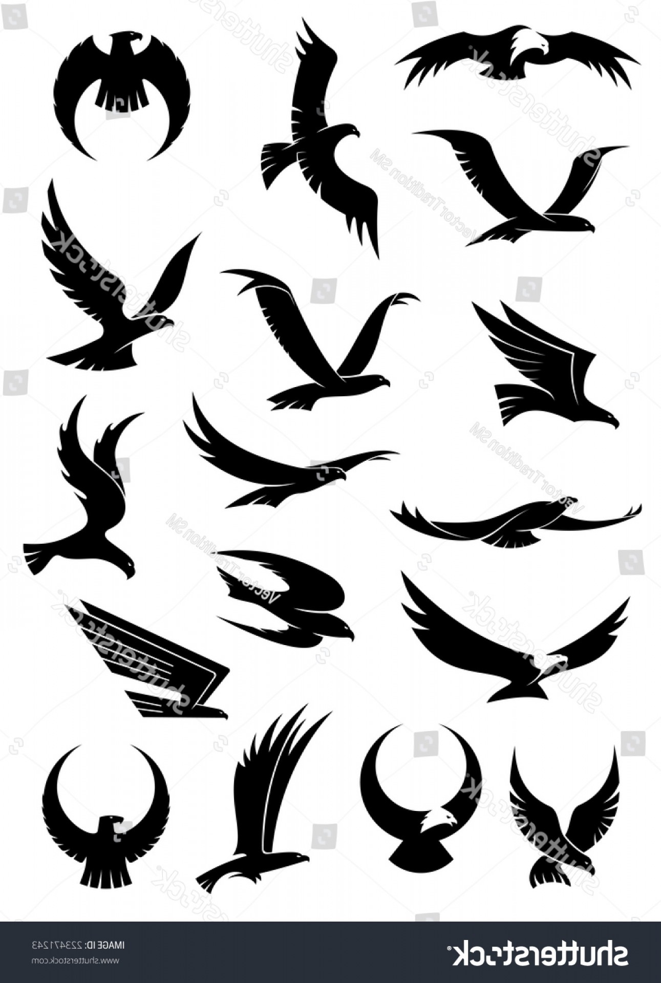 1291x1920 Hawk Claws Vector Hoodamathrun