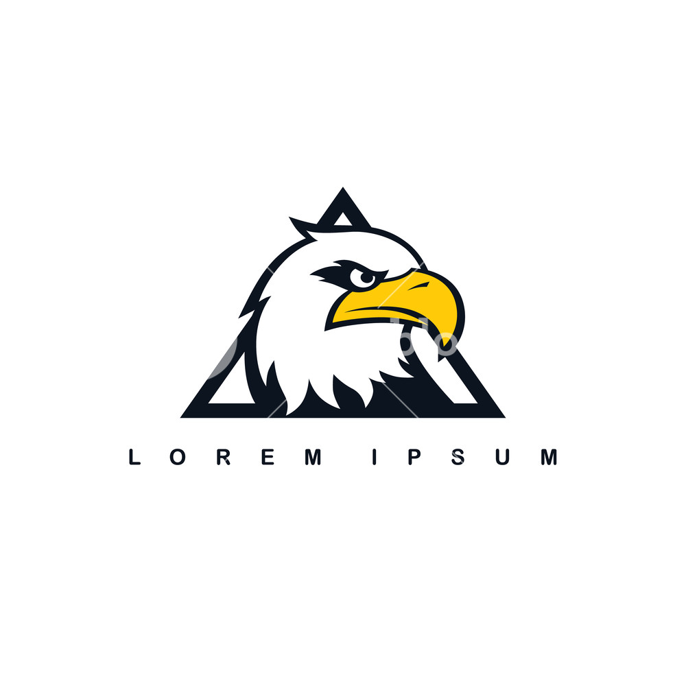 1000x1000 Eagle Hawk Bird Logo Template Vector Art Royalty Free Stock Image